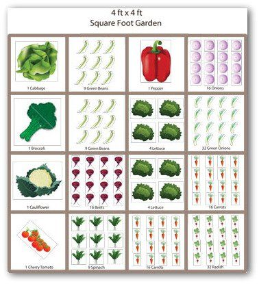 Square foot garden idea