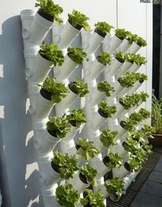 Vertical vegetable garden layout