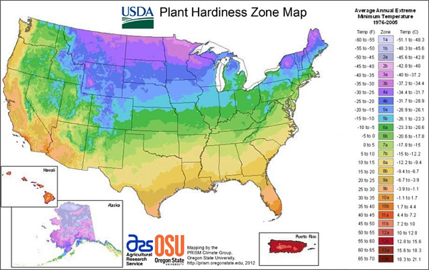 Plant Hardiness zone map