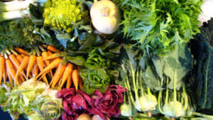 Harvesting vegetables