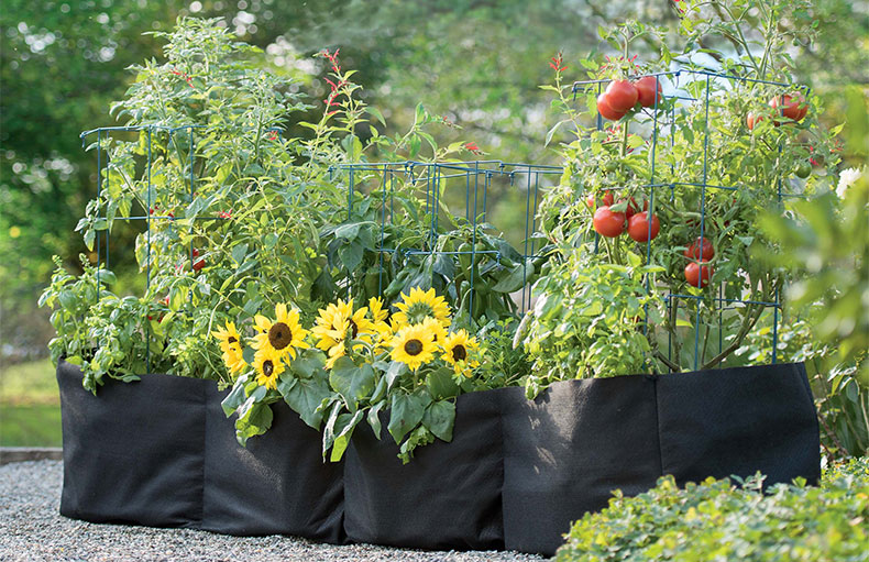 Grow Bags & Peat Pots - Pure Country Liv'n