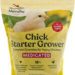 Chick Feed Manna Pro Medicated