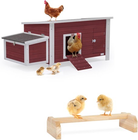 Chicken Coop Petsfit large