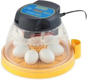 Choosing the Best Egg Incubator: A Complete Overview