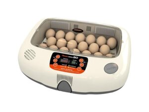 Egg incubator R-Com MX-20 Plastic Metal Model max 20