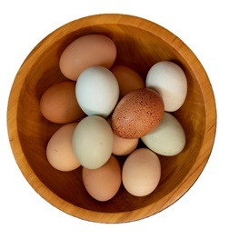 Bowl of chicken eggs