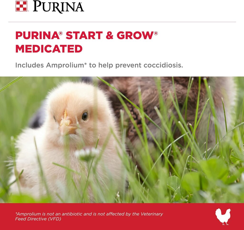 Chick Feed Purina Start and Grow Chick Feed Amprolium