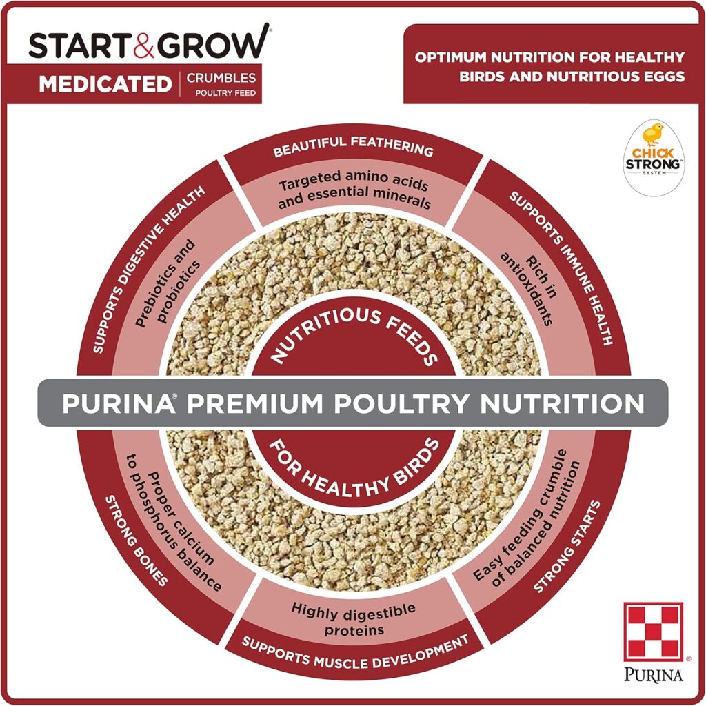 Chick Feed Purina Medicated Start and Grow Nutrition