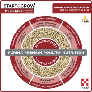 Chick Feed Purina Medicated Start and Grow Nutrition